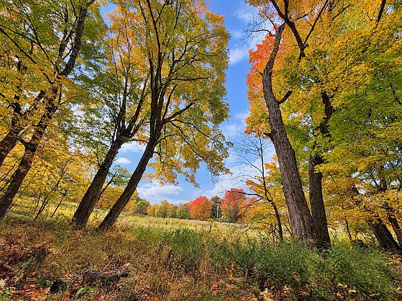 4th image of 00 Old Farm Road