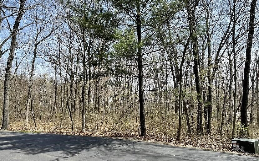 2nd image of Forest Beach Dr