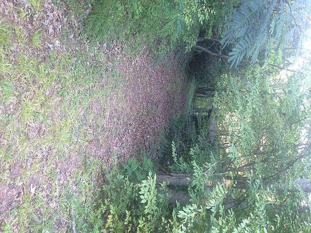 2nd image of 292 Colt Rd