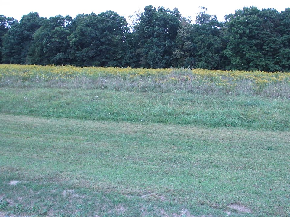 2nd image of 227 Pleasant Ridge Rd