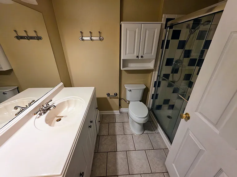 Basement Bathroom