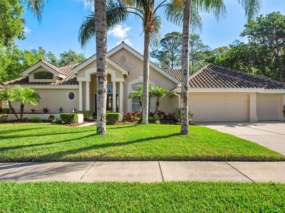 1389 Forestedge Blvd, Oldsmar, FL, 34677