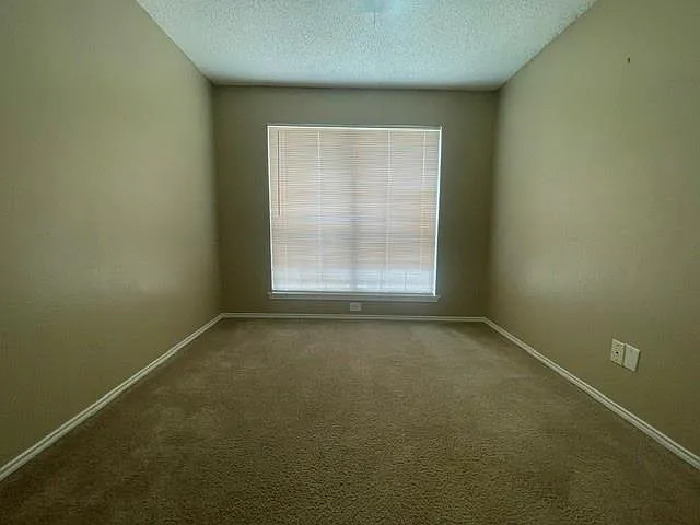 Picture 26