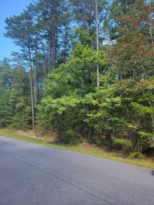 2985 New Ridge Rd, Elliston, VA, 24087