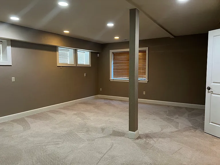 downstairs large family room