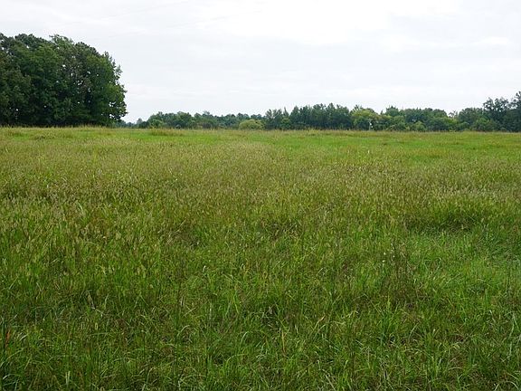 3rd image of 0 Cherry Row Ln Lot 94Q