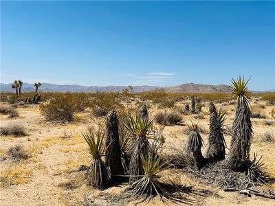 5 Sunset Rd, Joshua Tree, CA, 92252