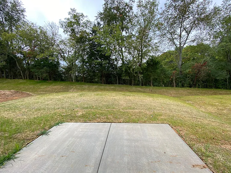 backyard area
