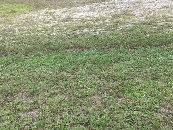 3932 NW 41st Pl, Cape Coral, FL 33993