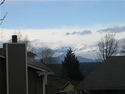 Olympic Mountain View!