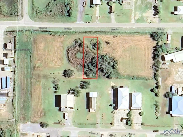 9 Birch Ln, Grand Isle, LA 70358