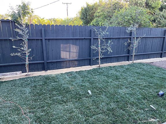 Backyard New Lanscape