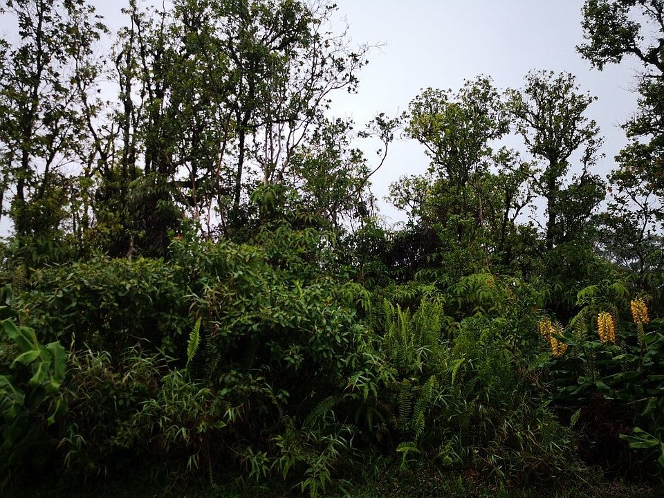 2nd image of Malumalu St Lot 26