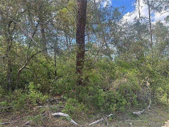 2nd image of LOT 6 SW 170th Pl