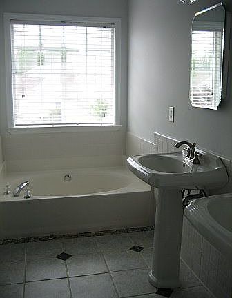 Master bath - garden tub, double sink and shower stall