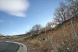 5th image of 2866 Deer Pointe Dr