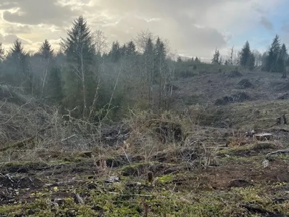 0 XXX Oldani Road, Raymond, WA 98577