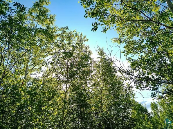 2XX Overlook Trl, Tofte, MN 55615