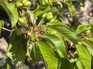 1424 Eucalyptus Ave, Patterson, CA 95363