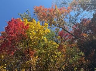 650 Mulberry Trl, Ellijay, GA 30540