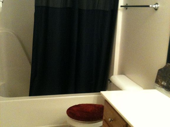 Guest bathroom