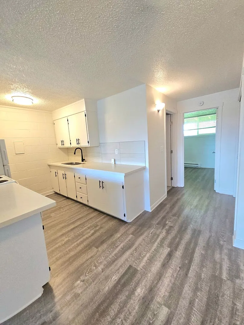 Eatonville 1 bedroom/1bath Apt near NW Trek — Photo 4