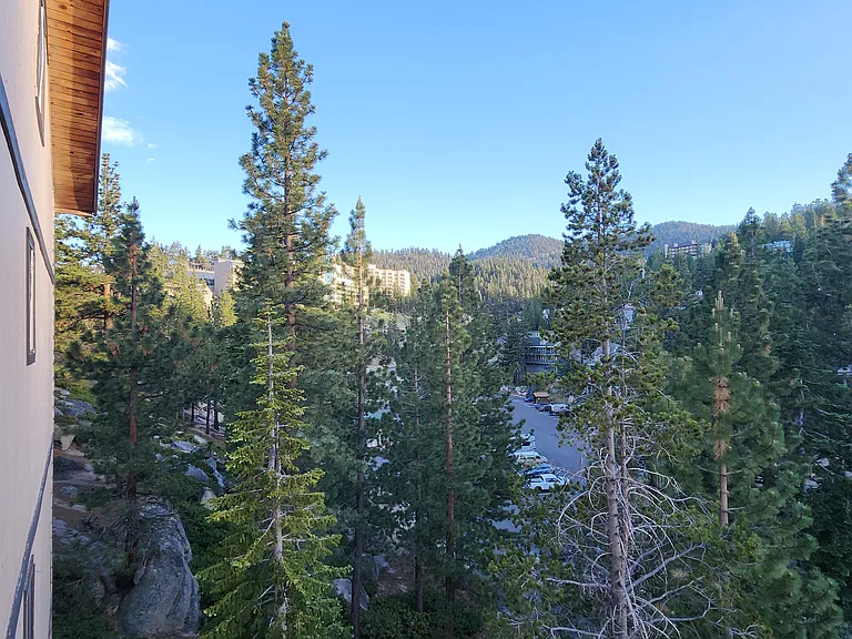 305 Galaxy Ln #8 — Photo 36
