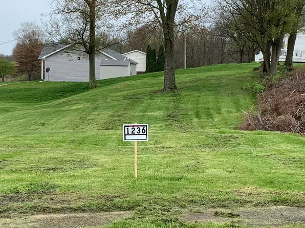 1238 Adams St, Albion, MI 49224