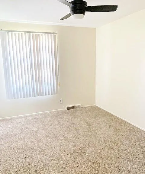 145 Miracle Dr — Photo 10