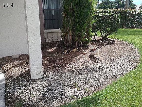 3rd image of 13150 Feather Sound Dr APT 504