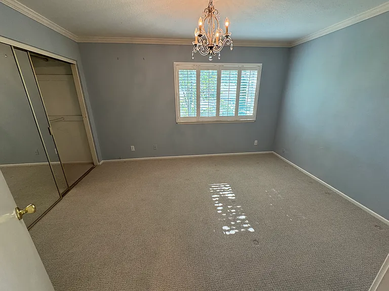 2869 Gingerwood Cir — Photo 12