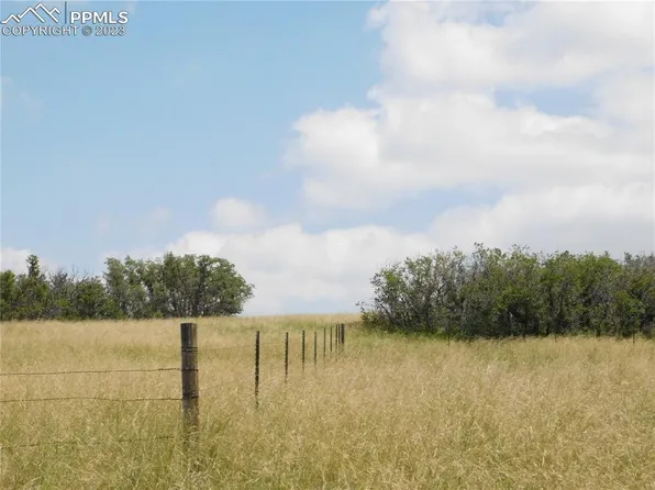 6668 Sable Rd, Larkspur, CO 80118