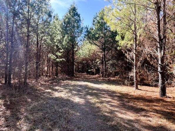 100 Lock St #3, Demopolis, AL 36732