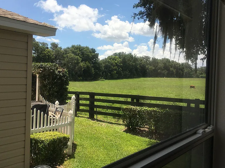View from Master Bedroom Window
