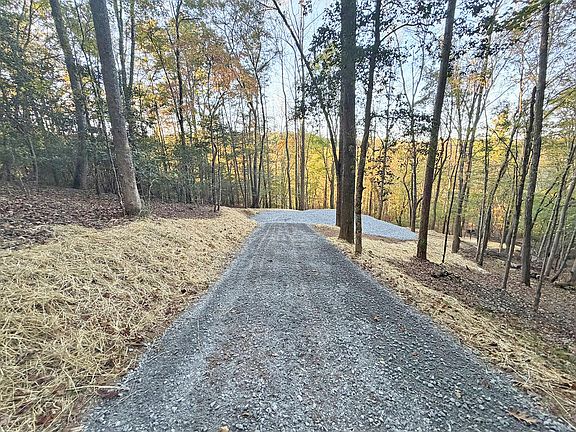 5th image of 13D Rainey Valley Ln