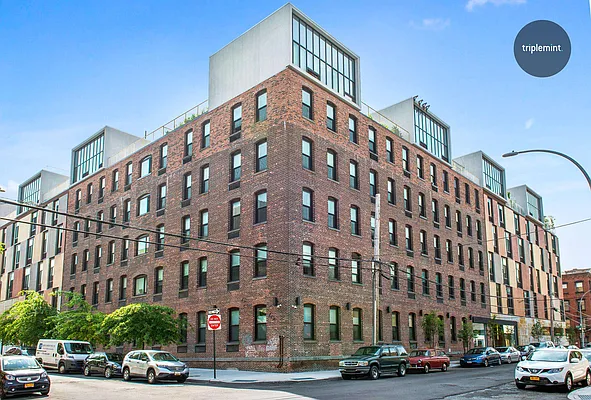 Rented by Triplemint | media 7