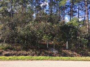 0 Catlett Rd, Saint Augustine, FL 32095