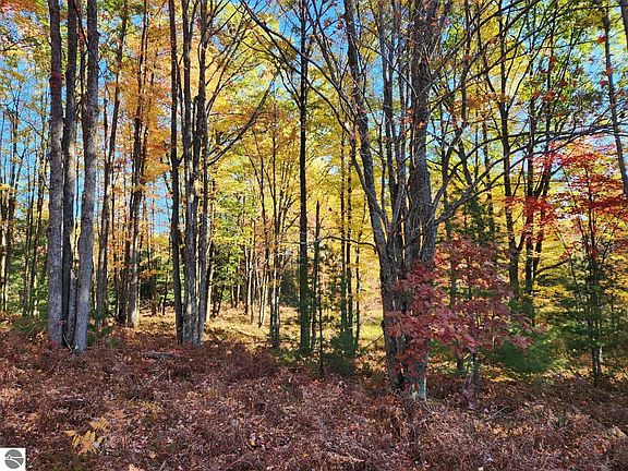 3rd image of Vl Forest Dr