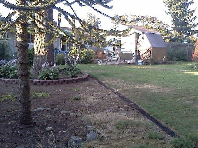 Back yard facing the house