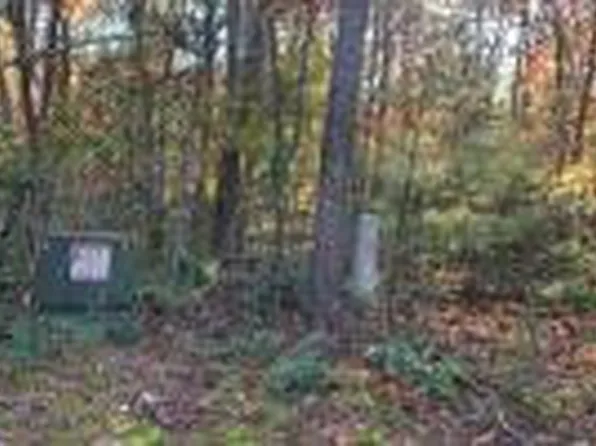 2-2B Ashley Trl Lot 2B, Warne, NC 28909