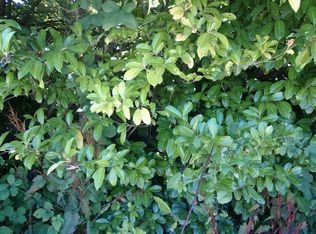 9805 35th Ave SW, Seattle, WA 98126