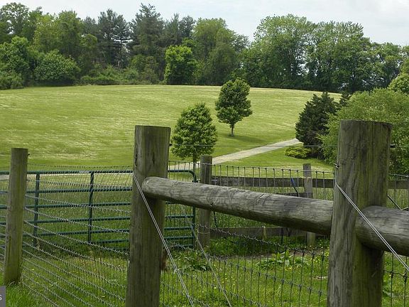 view from neighboring farm