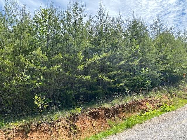 2nd image of 51 Big Hollow Rd
