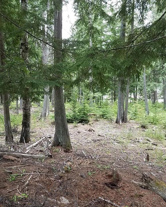 Nhn Alpinestars, Noxon, MT 59853 Zillow