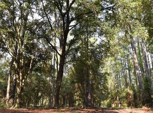 180 Caravelle Farms Rd, Palatka, FL 32177