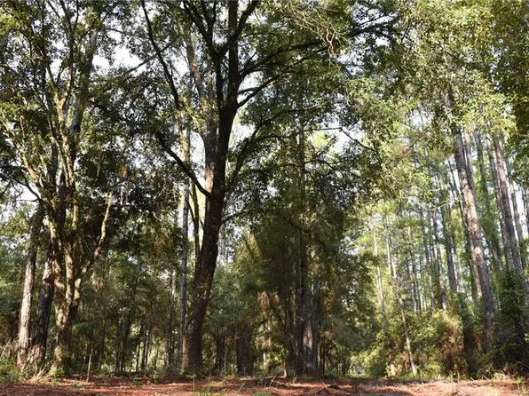 180 Caravelle Farms Rd, Palatka, FL 32177