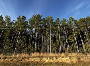 199 Hillsdale Gumpond Rd, Lumberton, MS 39455