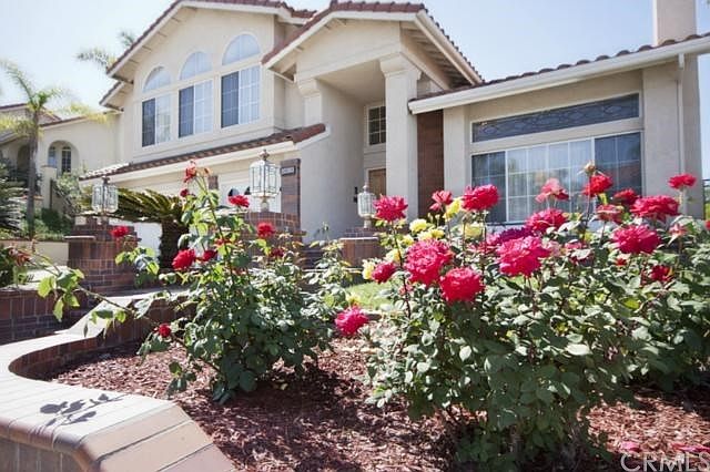 Rose garden in the front yard.