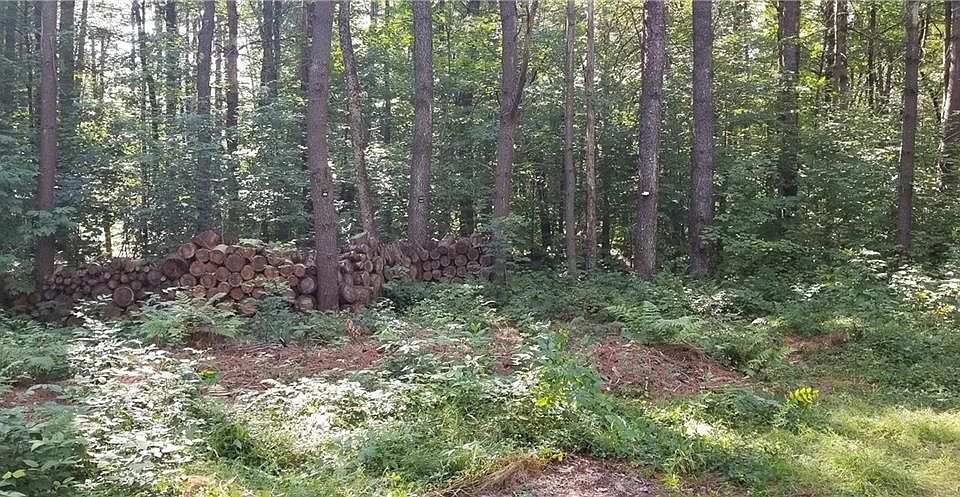 2nd image of 13136 Henry Rd