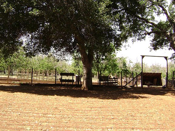 back of property and garden